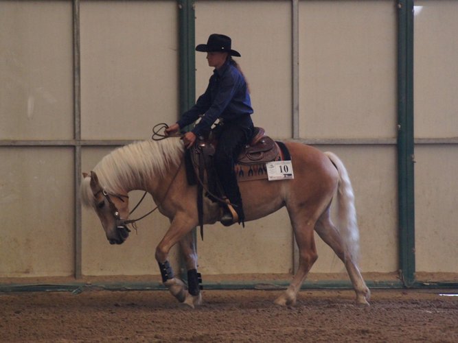 Reining O.jpg
