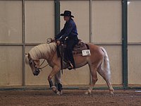 Reining O.jpg