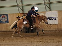 Reining O1.jpg